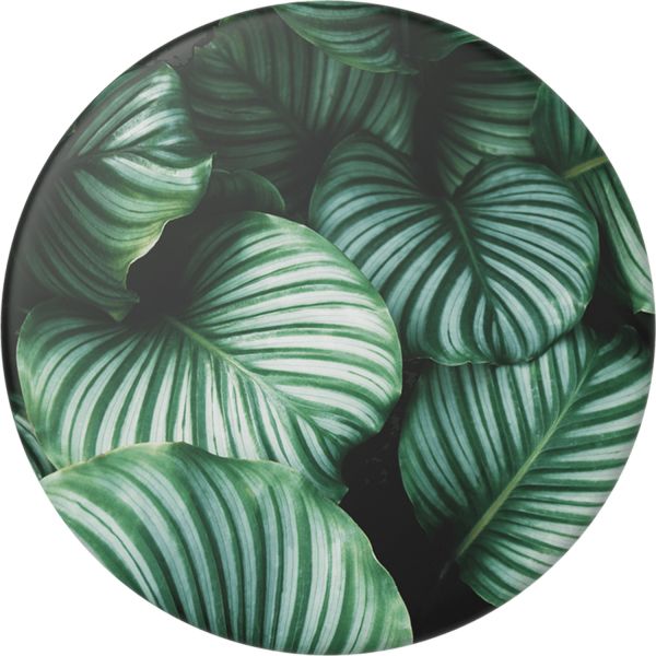 PopSockets PopGrip - Leafy Greens