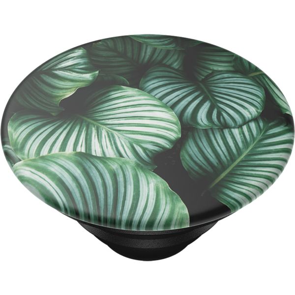 PopSockets PopGrip - Leafy Greens