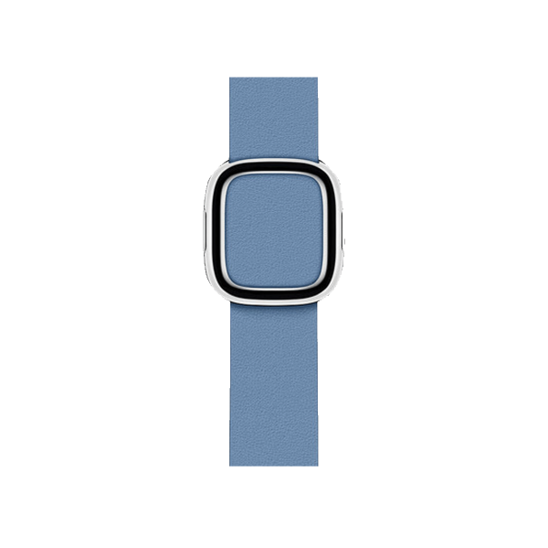 Apple Watch 38/40 mm Leather Loop Watch Band Blue