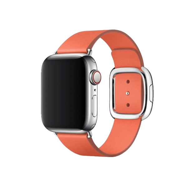 Apple Watch 38/40 mm Leather Loop Watch Band Orange