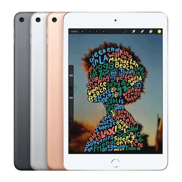 Refurbished iPad mini 5 256GB WiFi + 4G Space Gray | Excluding cable and charger