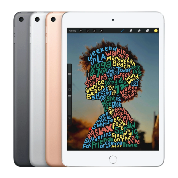 Refurbished iPad mini 5 256GB WiFi Gold | Excluding cable and charger