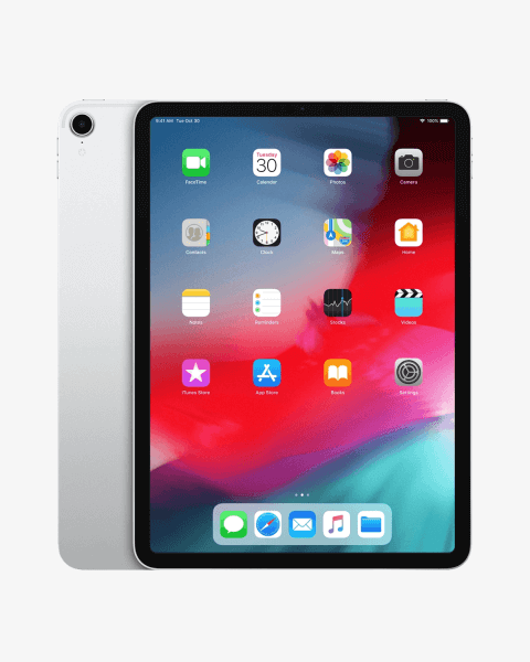 Refurbished iPad Pro 11-inch 256GB WiFi + 4G Silver (2018) | Excluding cable and charger