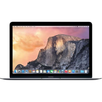 MacBook 12 inch | Core M 1.1 GHz | 256 GB SSD | 8GB RAM | Space Gray (early 2015) | Qwerty